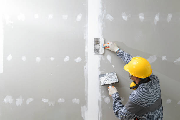 Best Mold Prevention Services  in Clarkston Heights Vineland, WA