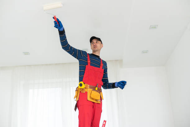 Biohazard Mold Removal in Clarkston Heights Vineland, WA