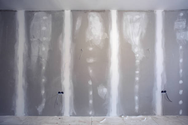 Best Basement Mold Removal  in Clarkston Heights Vineland, WA